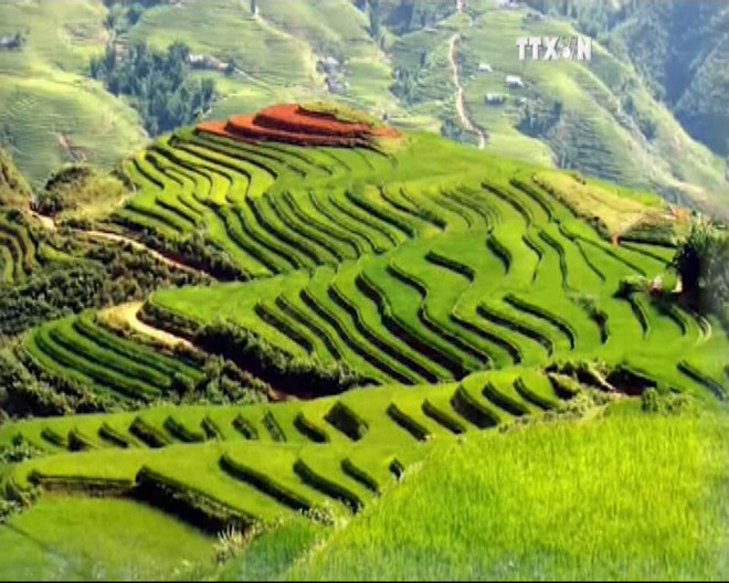 越通社新闻节目2015年7月18日 ảnh 1