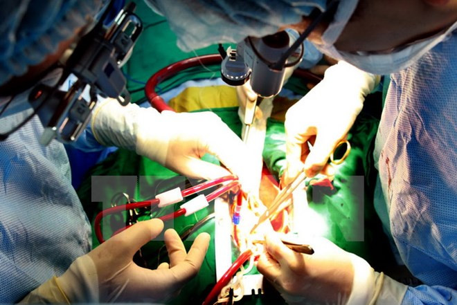 心血管介入学术会议在芹苴市举行 ảnh 1 心血管介入学术会议在芹苴市举行 ảnh 1