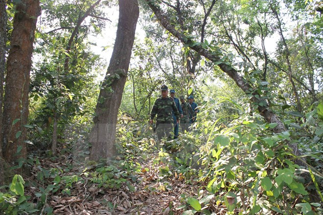 越南向老挝安全部队授予奖项 ảnh 1 越南向老挝安全部队授予奖项 ảnh 1