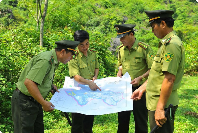 需要“携手合作” 以实际行动配合防范野生动物贩卖 ảnh 2 需要“携手合作” 以实际行动配合防范野生动物贩卖 ảnh 2