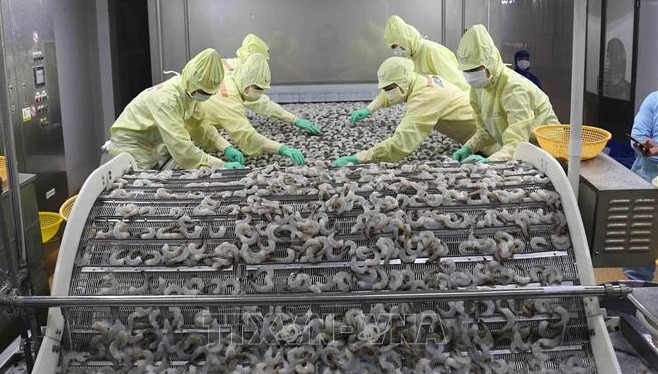 上半年经济发展情况:越南狠抓工作落实 努力实现“双重目标” ảnh 1 上半年经济发展情况:越南狠抓工作落实 努力实现“双重目标” ảnh 1