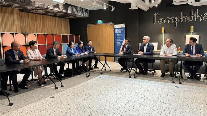 越法建交50周年：促进双边财政合作 ảnh 2