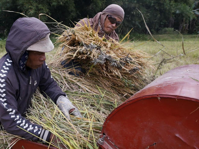 菲律宾与世界银行签署贷款协议以振兴农渔业 ảnh 1
