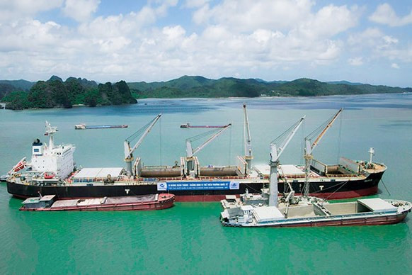 越南春成公司成功向美国市场出口水泥 ảnh 1