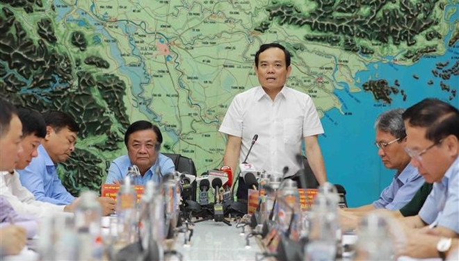 越南27个省着力应对超强台风泰利 ảnh 1 越南27个省着力应对超强台风泰利 ảnh 1