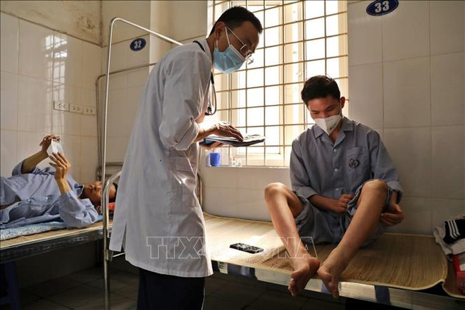 河内重点防范登革热疫情风险 ảnh 1