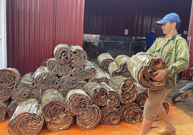 印度、美国、孟加拉国是越南肉桂的三大主要出口市场 ảnh 1