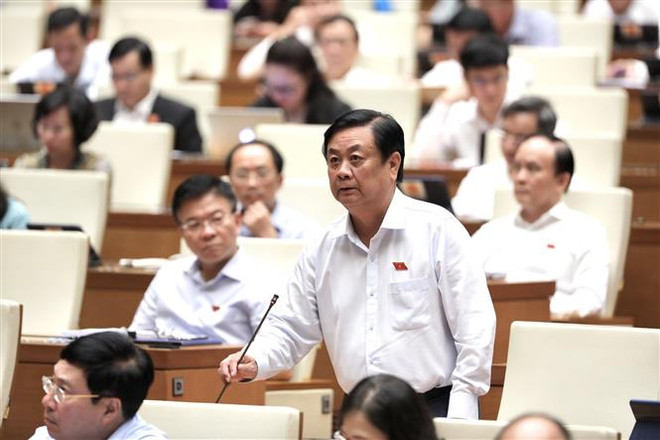 ☕️越通社新闻下午茶(2022.5.30 ) ảnh 2 ☕️越通社新闻下午茶(2022.5.30 ) ảnh 2