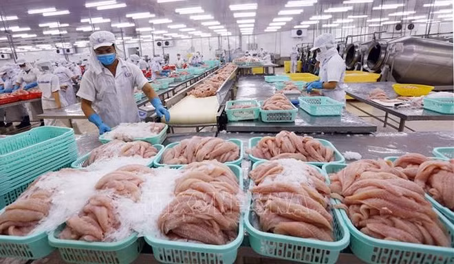2023年越南水产品出口额可达92亿至93亿美元 ảnh 1 2023年越南水产品出口额可达92亿至93亿美元 ảnh 1