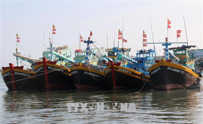 解除IUU“黄牌警告”:将欧盟委员会提出的建议抓细抓到位 ảnh 1 解除IUU“黄牌警告”:将欧盟委员会提出的建议抓细抓到位 ảnh 1