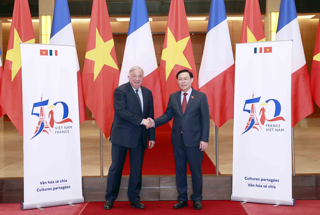 法国专家:越法战略伙伴关系发展潜力巨大 ảnh 1 法国专家:越法战略伙伴关系发展潜力巨大 ảnh 1