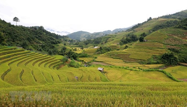 西北省份及胡志明市文化旅游周首次在老挝举行 ảnh 1 西北省份及胡志明市文化旅游周首次在老挝举行 ảnh 1