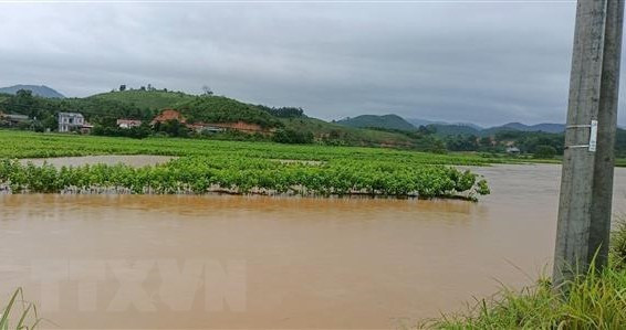越南多地特大暴雨与洪灾爆发 ảnh 1 越南多地特大暴雨与洪灾爆发 ảnh 1