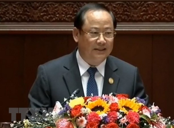 老挝加大对稀土开采活动的管理力度 ảnh 1