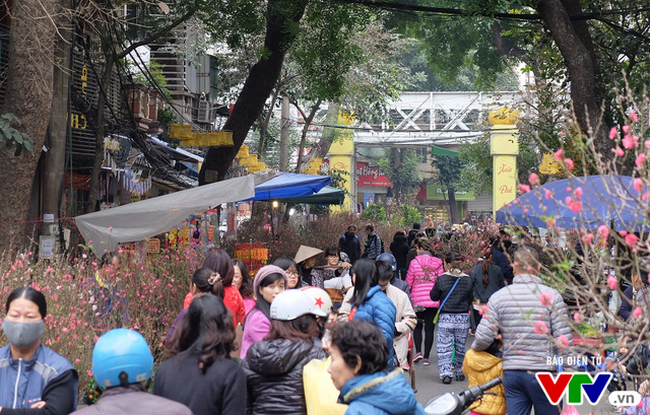 河内将举办63个迎新春鲜花集市 ảnh 1