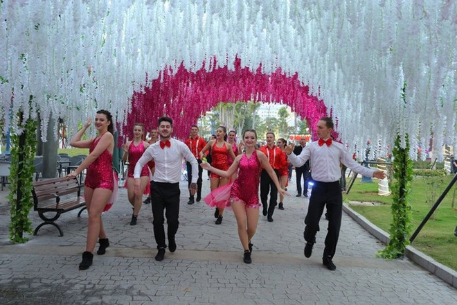 下龙市炫彩花色奇观节从今至2018年戊戌春节正月初五举行 ảnh 1