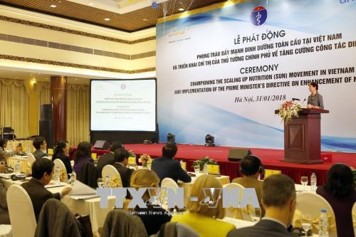 越南努力推进联合国“加强营养运动” ảnh 1
