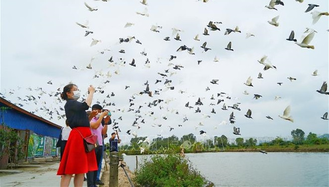 逐步打造国家级产品和服务品牌 ảnh 1 逐步打造国家级产品和服务品牌 ảnh 1