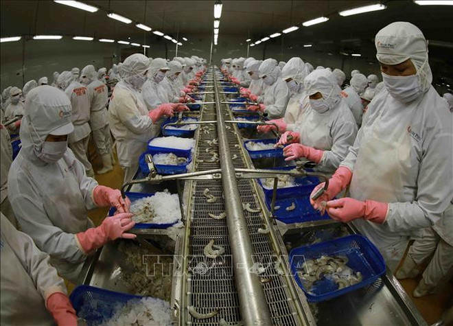 推动农业经济发展的6大核心措施 ảnh 2