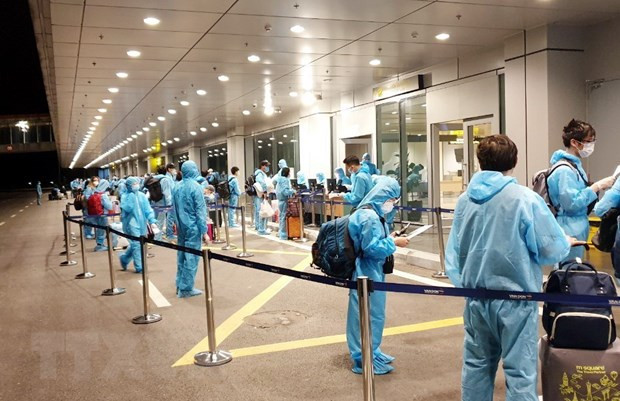 在澳大利亚和新西兰的近350名越南公民安全回国 ảnh 1 在澳大利亚和新西兰的近350名越南公民安全回国 ảnh 1