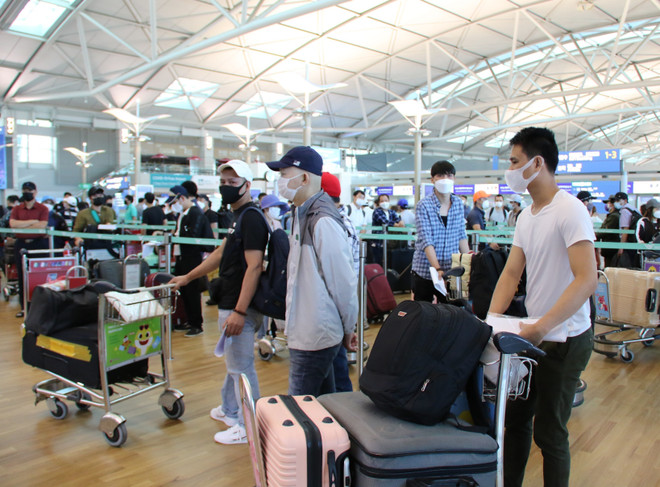 逾405名在韩国的越南公民安全抵达新山一国际机场 ảnh 1 逾405名在韩国的越南公民安全抵达新山一国际机场 ảnh 1