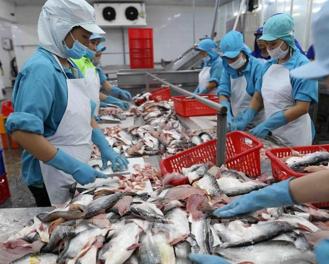 越南提出对美国和欧盟市场的出口年均增长7-10%的目标 ảnh 1 越南提出对美国和欧盟市场的出口年均增长7-10%的目标 ảnh 1