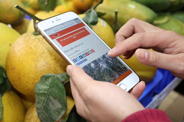 越南以绿色经济为长期增长动力 ảnh 2 越南以绿色经济为长期增长动力 ảnh 2