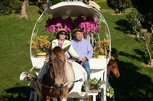 大叻城之花（组图） ảnh 14