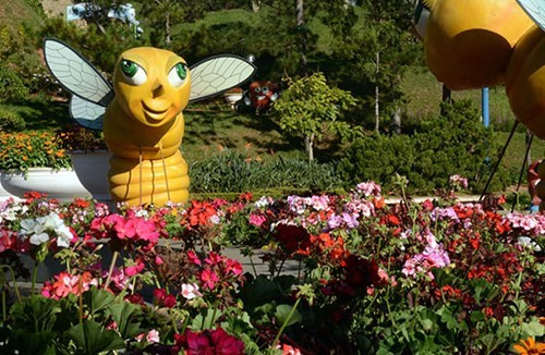 大叻城之花（组图） ảnh 4