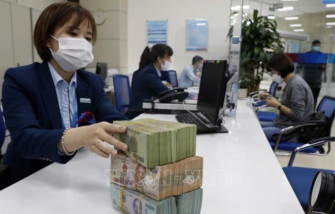 国际专家高度评价越南在控制通胀率所做出的努力 ảnh 1 国际专家高度评价越南在控制通胀率所做出的努力 ảnh 1