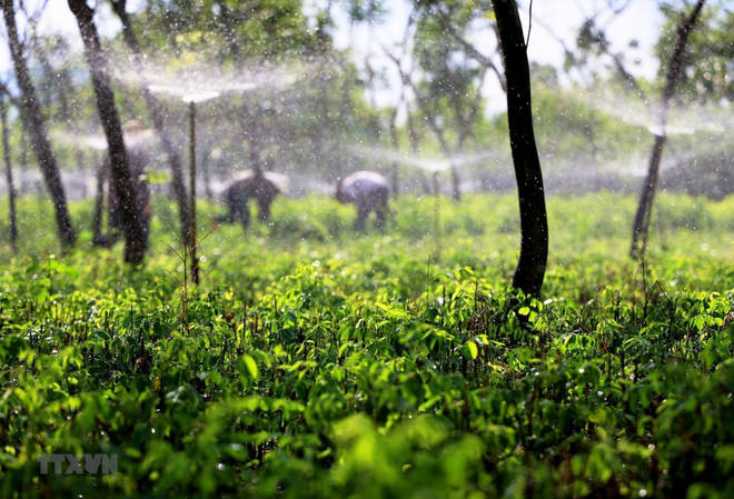 同奈省推进新农村示范村建设 ảnh 1 同奈省推进新农村示范村建设 ảnh 1