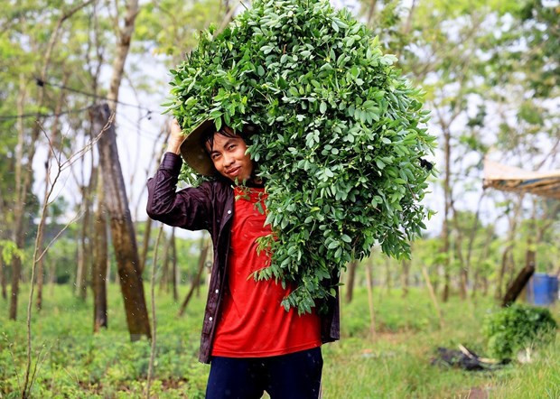 同奈省推进新农村示范村建设 ảnh 2 同奈省推进新农村示范村建设 ảnh 2