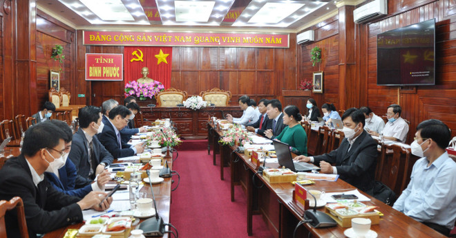 日本企业了解平福省生物质发电领域的投资商机 ảnh 1