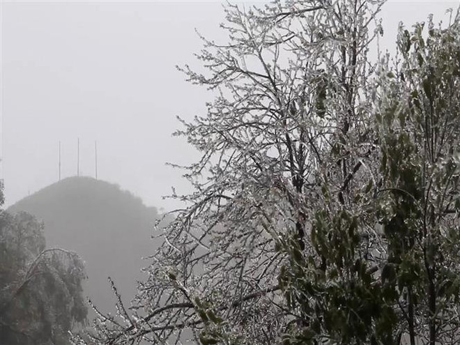 ☀️越通社早安咖啡(2022.2.21) ảnh 3 ☀️越通社早安咖啡(2022.2.21) ảnh 3