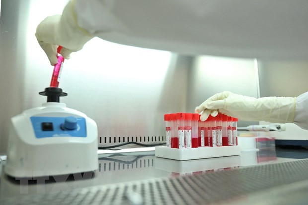 全国新增确诊病例 77982 例 河内市近1.1万例 ảnh 1 全国新增确诊病例 77982 例 河内市近1.1万例 ảnh 1