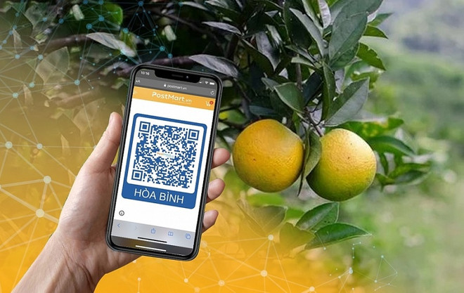 越南邮政助力750万农户在Postmart.vn上更新信息 ảnh 1 越南邮政助力750万农户在Postmart.vn上更新信息 ảnh 1