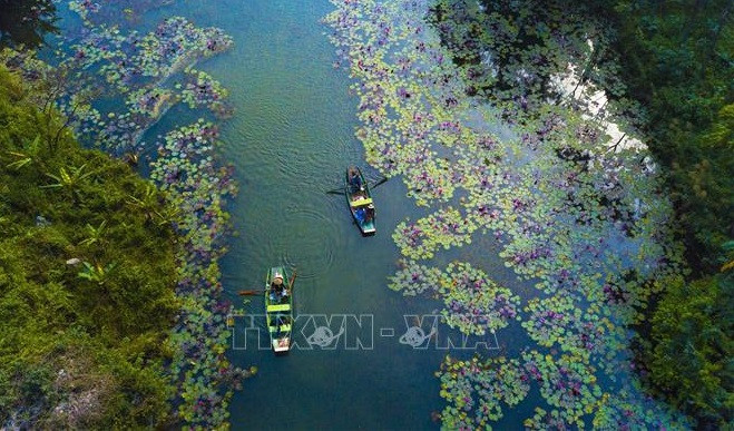 旅游业数字化革命:先锋企业的作用 ảnh 1 旅游业数字化革命:先锋企业的作用 ảnh 1