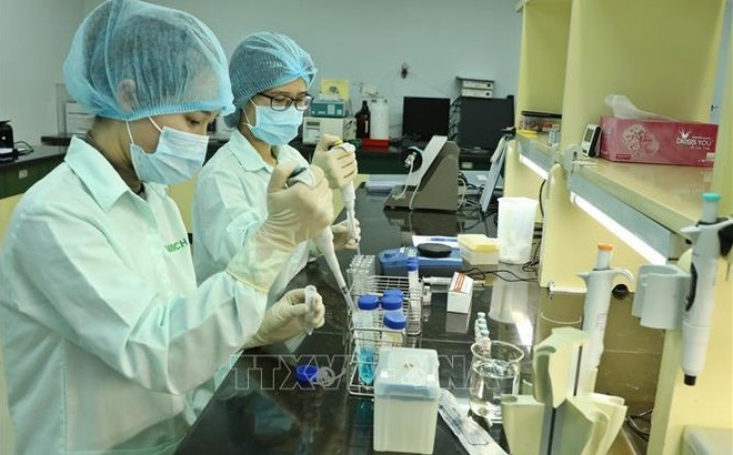 越南将引进信使核糖核酸疫苗生产技术 ảnh 1 越南将引进信使核糖核酸疫苗生产技术 ảnh 1
