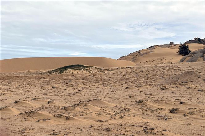 投资总额10多亿美元的旅游项目落户宁顺省 ảnh 2 投资总额10多亿美元的旅游项目落户宁顺省 ảnh 2