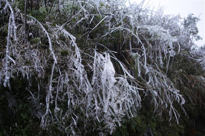 ☕️越通社新闻下午茶(2022.2.23) ảnh 3 ☕️越通社新闻下午茶(2022.2.23) ảnh 3