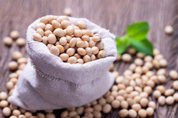 越南商品交易所交易额首次突破4.38亿美元 ảnh 1