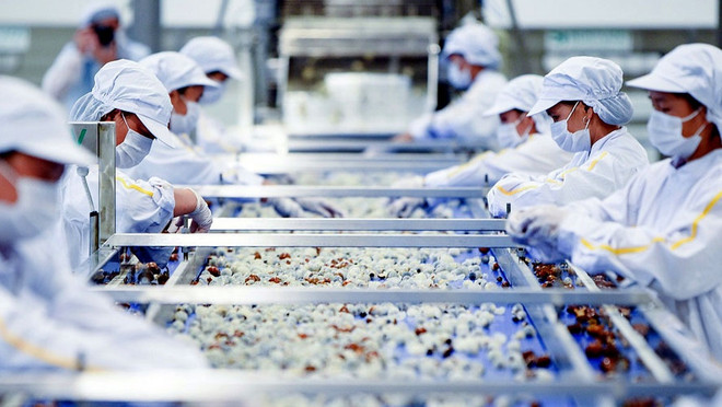 越南农产品出口增长前景广阔 ảnh 1