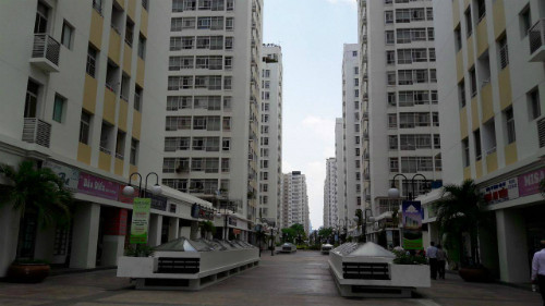 胡志明市强化寨卡病毒防控措施 ảnh 1 胡志明市强化寨卡病毒防控措施 ảnh 1