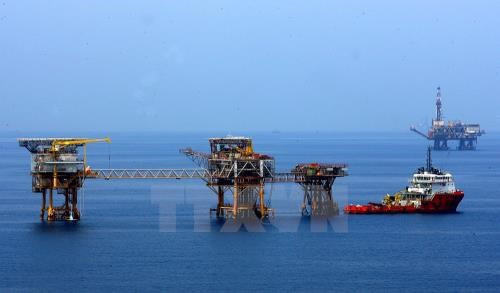 越南与阿联酋双边贸易额达近80亿美元 ảnh 1