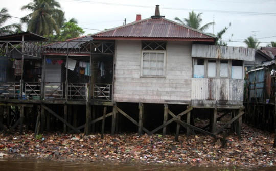  联合国支持印尼推动实现可持续发展 ảnh 1