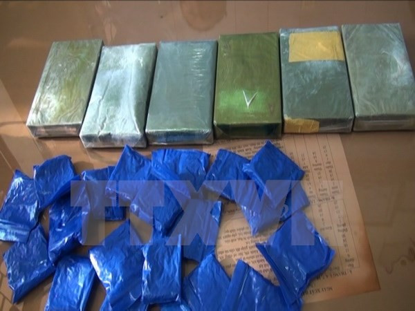 广治省查获一起特大跨国毒品运输案 ảnh 1