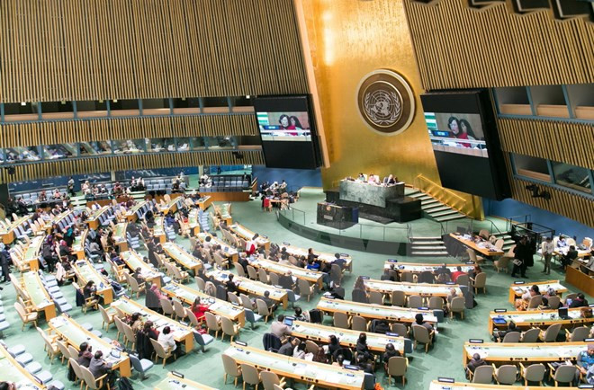 越南在赋予妇女权力取得许多成就 ảnh 1 越南在赋予妇女权力取得许多成就 ảnh 1