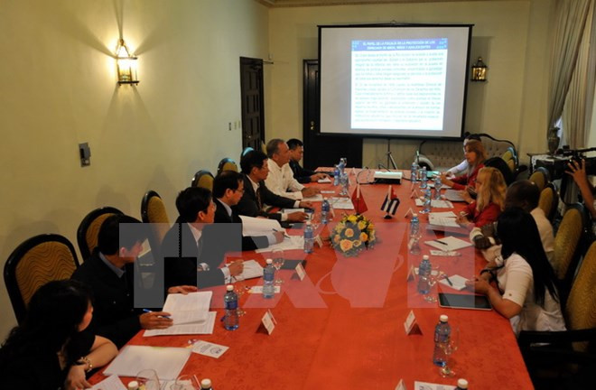 越南与古巴检察部门交换关于保护公民权利的经验 ảnh 1