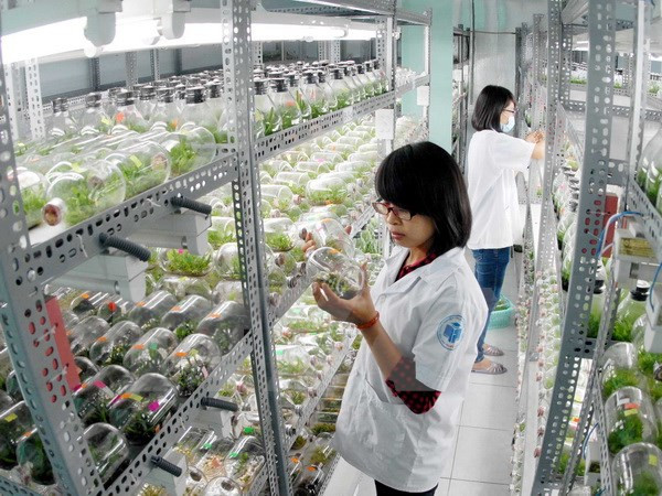 胡志明市与萨克拉门托市加强人力资源培训合作 ảnh 1