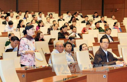 全国选民高度评价国会质询和回答质询活动新形式 ảnh 1 全国选民高度评价国会质询和回答质询活动新形式 ảnh 1